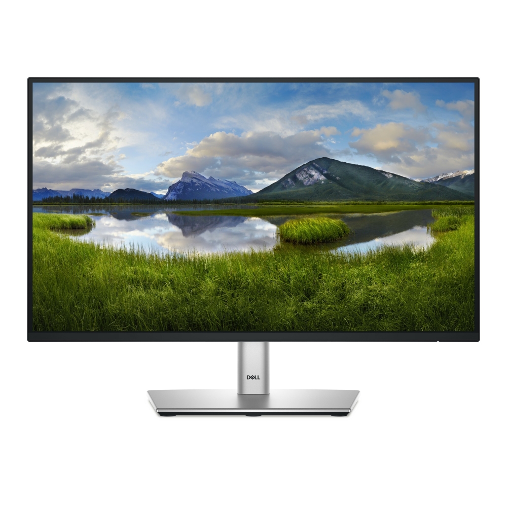 DELL P2225H Computer Monitors - 21.5 Inches - Multi